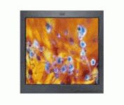 IBM T 86A (Black) 18.1 in. Flat Panel LCD Monitor