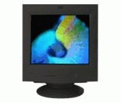 IBM E 51 (Black) 15 in.CRT Conventional Monitor