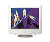 IBM E 94 (Pearl, White) 19 in.CRT Conventional Monitor