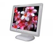Amptron CT-520D (Beige) 15 in. Flat Panel LCD Monitor