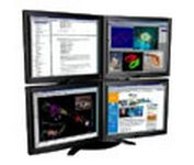 Mass Multimedia MASS Quad C4Q-18 (Black) 18.1 in. Flat Panel LCD Monitor