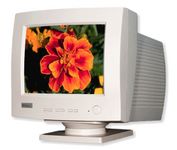 Miracle Business MT312 10 in.CRT Conventional Monitor