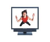 NEC Mitsubishi DiamondPoint NXM76 (Black) 17 in. Flat Panel LCD Monitor