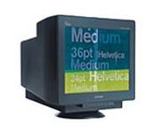 NEC Diamond Pro 930SB 19 in.CRT Conventional Monitor