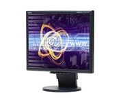 Nec Display Solutions LCD1770V (Black) 17 in. Flat Panel LCD Monitor