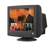Nec Display Solutions MultiSync FE992 (Black) 19 in.CRT Conventional Monitor
