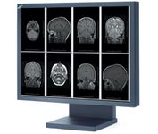 Nec Display Solutions MultiSync MD21GS (Black) 21.3 in. Flat Panel LCD Monitor