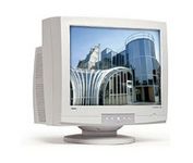 Nec Display Solutions ACCUSYNC 120 21 in.CRT Conventional Monitor