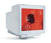 Nec Display Solutions MultiSync FE990 (White) 19 in.CRT Conventional Monitor