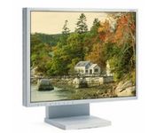 Nec Display Solutions NEC LCD1915X / 19-Inch / 1280 x 1024 / 25ms / DVI / White LCD Monitor Refurbished