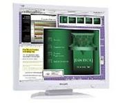 Philips 170S4FG (Light Grey) 17 in. Flat Panel LCD Monitor