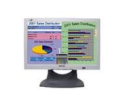 Philips 170W4P74 17.1 in. Flat Panel LCD Monitor