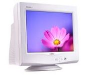 Philips Professional Brilliance 109P (White) 19 in.CRT Conventional Monitor