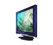 Philips Professional 200P3 20.1 in. Flat Panel LCD Monitor