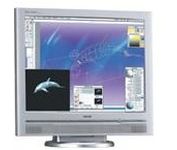 Philips 200P4SS 20 in. Flat Panel LCD Monitor