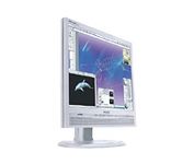 Philips 170P (Silver) 17 in. Flat Panel LCD Monitor