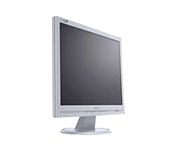 Philips 190S5FG (Beige) 19 in. Flat Panel LCD Monitor