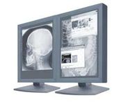 Planar Dome C3i 20.8 in. Flat Panel LCD Monitor