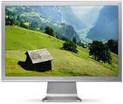 Apple M9178LLA (Silver) 23 in. Flat Panel LCD Monitor