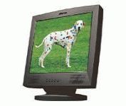 Planar CT1905S (Black) 19 in. Flat Panel LCD Monitor