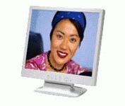 Planar PL150 (White) 15 in. Flat Panel LCD Monitor