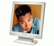 Planar PL171M (White) 17 in. Flat Panel LCD Monitor