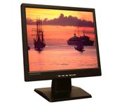 Princeton Digital LCD1710 17 in. Flat Panel LCD Monitor