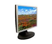 Princeton Digital SENergy 981 (Black, Silver) 19 in. Flat Panel LCD Monitor