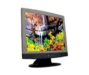 Princeton Digital LCD17D (Graphite) 17 in. Flat Panel LCD Monitor