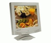 Princeton Digital LCD15M 15 in. Flat Panel LCD Monitor