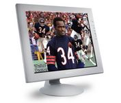 Sony S81R 18 in. Flat Panel LCD Monitor