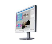 Sony SDM-S204H 20 in. Flat Panel LCD Monitor