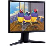 ViewSonic VP191b (Black) 19 in. Flat Panel LCD Monitor
