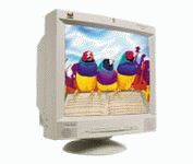 ViewSonic G90m (Beige) 19 in.CRT Conventional Monitor