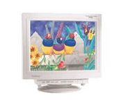 ViewSonic PT810 (White) 21 in.CRT Conventional Monitor