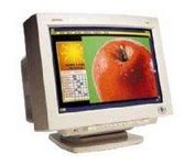 Compaq IBM P 1610 (White) 24 in.CRT Conventional Monitor
