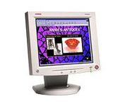 Compaq TFT5010 (Gray) 15 in. Flat Panel LCD Monitor
