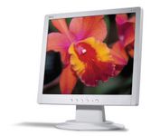 Acer AL1714 (Beige) 17 in. Flat Panel LCD Monitor