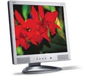 Acer AL1931 (Silver) 19 in. Flat Panel LCD Monitor