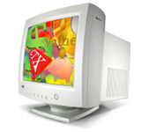 CTX PL9 (White) 19 in.CRT Conventional Monitor