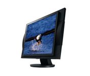 Eizo FlexScan L578 (Black)
