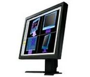 Eizo FlexScan L 985EX (Black) 21.3 in. Flat Panel LCD Monitor