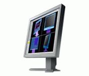 Eizo FlexScan L 985EX (Gray) 21.3 in. Flat Panel LCD Monitor