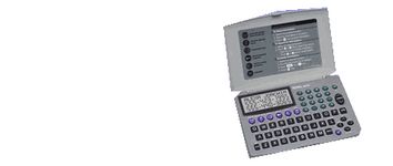 Royal DM3065