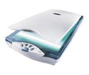 Mustek Be@rPaw 2400TA Plus Flatbed Scanner
