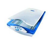 Mustek Be@rPaw 1200CS Flatbed Scanner