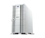 Acer Altos G610 (G610-110218) Server