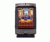 ViewSonic ViewPad 1000 (VSVPD22974-1M) Tablet PC