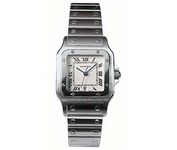 Cartier W20060D6 Wrist Watch