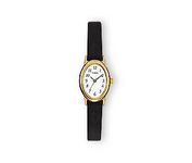 Timex 21912 Wrist Watch